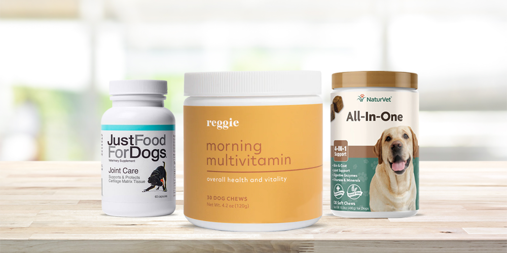 Best Dog Vitamins For Health And Vitality In 2023