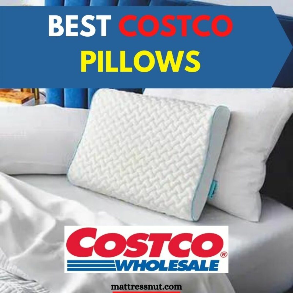 Incredible Costco Memory Foam Pillow References