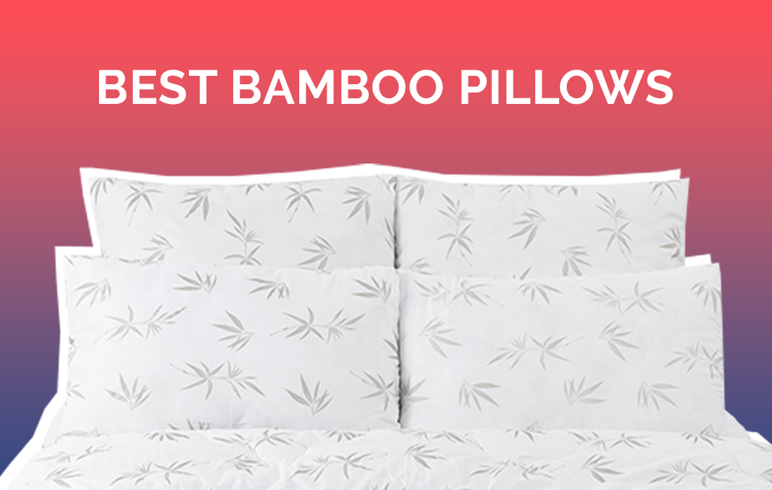 Famous Pillows Bamboo 2023