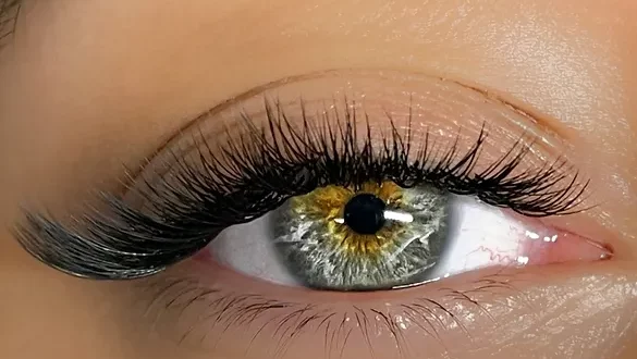 eye lashes extensions course