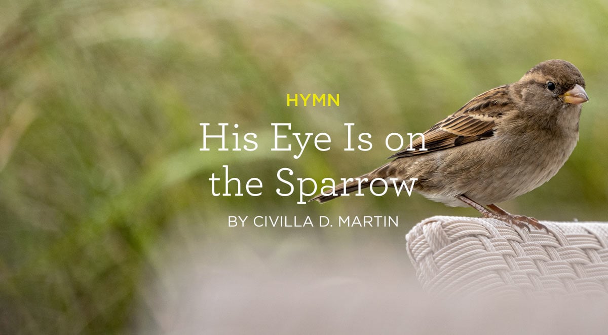 eye is on the sparrow