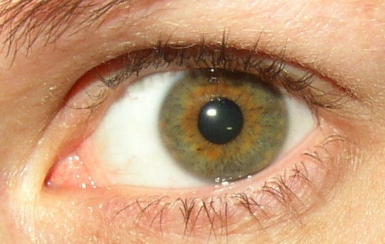 hazelnut eye color